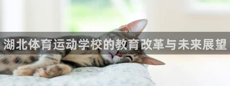 oety欧亿体育官网下载注册：湖北体育运动学校的教育