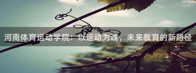 oety欧亿体育官网下载：河南体育运动学院：以运动为