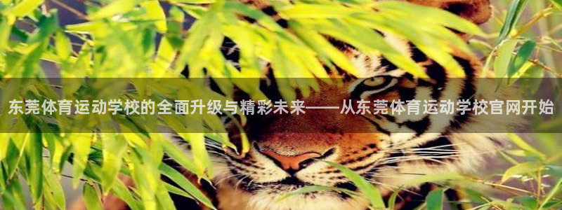 oety欧亿体育官网下载平台假的吗是真的吗吗：东莞体育运动学