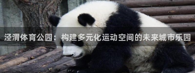 欧亿体育官方正版app娱乐首页官网下载：泾渭体育公园
