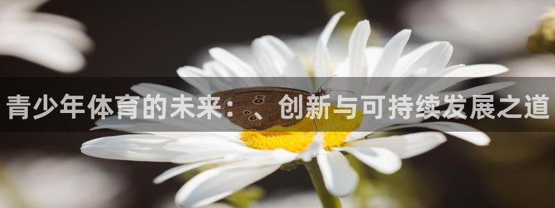 欧亿体育官方正版app集团简介：青少年体育的未来：、