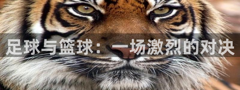 oety欧亿体育官网下载招商电话号码查询是多少：足球