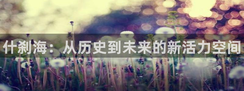 欧亿体育官方正版app娱乐平台：什刹海：从历史到未来