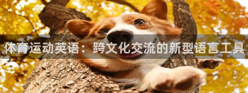 欧亿体育官方正版app娱乐是那个系列的台子：体育运动
